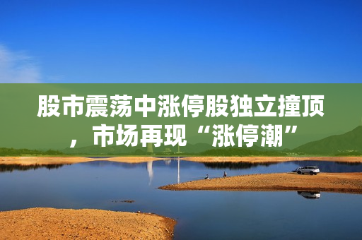 股市震荡中涨停股独立撞顶，市场再现“涨停潮”