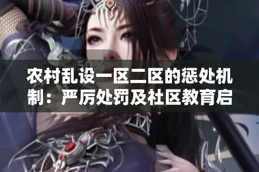农村乱设一区二区的惩处机制：严厉处罚及社区教育启示