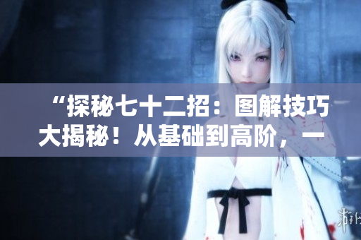 “探秘七十二招：图解技巧大揭秘！从基础到高阶，一图胜千言，助你轻松掌握！”