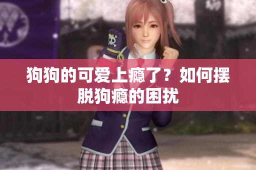 狗狗的可爱上瘾了？如何摆脱狗瘾的困扰