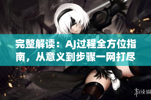 完整解读：AJ过程全方位指南，从意义到步骤一网打尽！