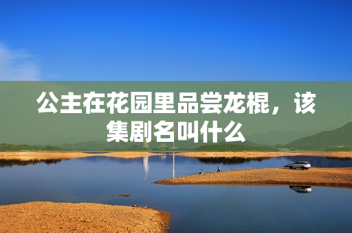 公主在花园里品尝龙棍，该集剧名叫什么