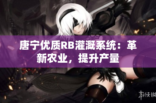 唐宁优质RB灌溉系统：革新农业，提升产量