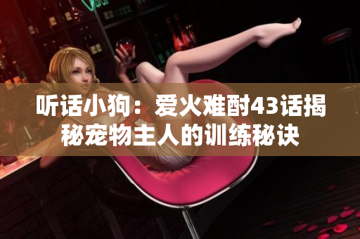 听话小狗：爱火难酎43话揭秘宠物主人的训练秘诀