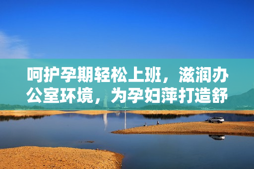 呵护孕期轻松上班，滋润办公室环境，为孕妇萍打造舒适办公体验