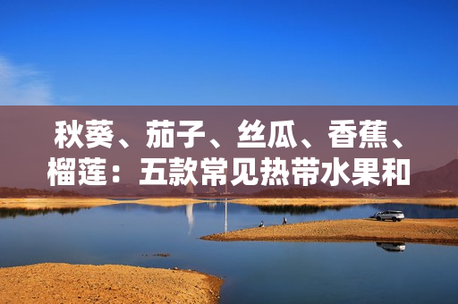 秋葵、茄子、丝瓜、香蕉、榴莲：五款常见热带水果和蔬菜的养生功效大揭秘