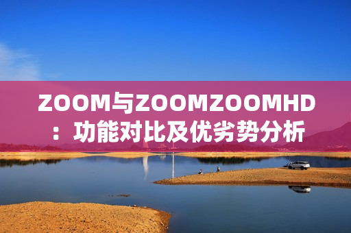 ZOOM与ZOOMZOOMHD：功能对比及优劣势分析