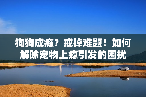 狗狗成瘾？戒掉难题！如何解除宠物上瘾引发的困扰