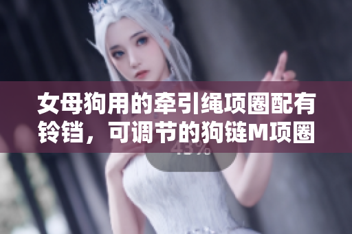 女母狗用的牵引绳项圈配有铃铛，可调节的狗链M项圈款式