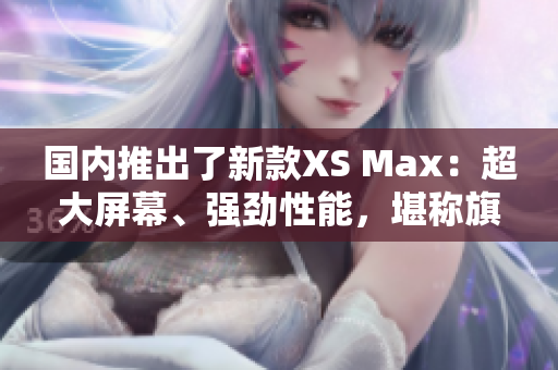 国内推出了新款XS Max：超大屏幕、强劲性能，堪称旗舰之选