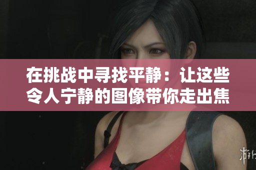在挑战中寻找平静：让这些令人宁静的图像带你走出焦虑