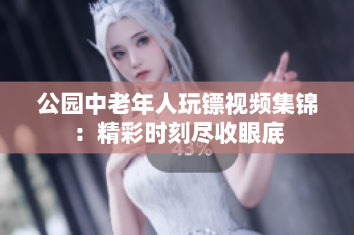 公园中老年人玩镖视频集锦：精彩时刻尽收眼底