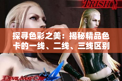 探寻色彩之美：揭秘精品色卡的一线、二线、三线区别