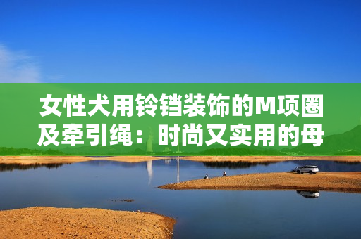 女性犬用铃铛装饰的M项圈及牵引绳：时尚又实用的母狗配饰