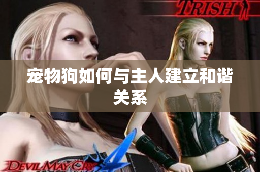 宠物狗如何与主人建立和谐关系