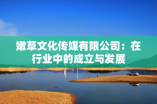 嫩草文化传媒有限公司：在行业中的成立与发展