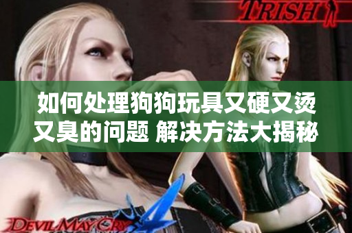 如何处理狗狗玩具又硬又烫又臭的问题 解决方法大揭秘!