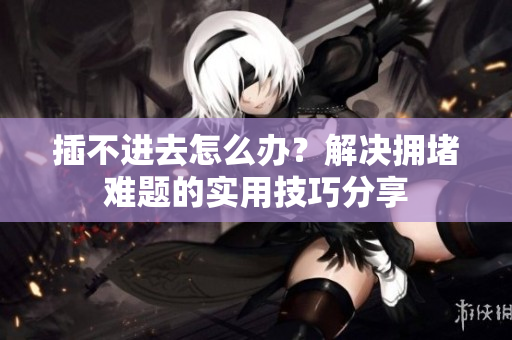 插不进去怎么办？解决拥堵难题的实用技巧分享