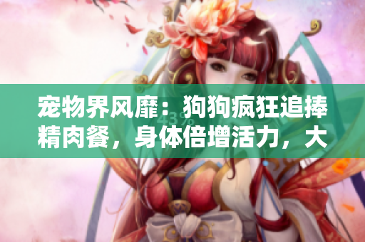 宠物界风靡：狗狗疯狂追捧精肉餐，身体倍增活力，大幅增加食欲！