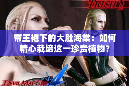 帝王袍下的大肚海棠：如何精心栽培这一珍贵植物？