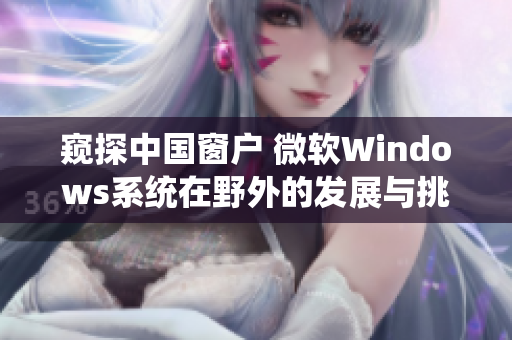 窥探中国窗户 微软Windows系统在野外的发展与挑战