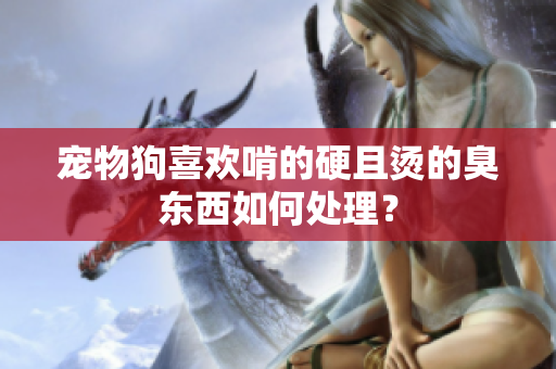 宠物狗喜欢啃的硬且烫的臭东西如何处理？