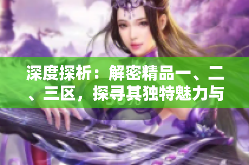深度探析：解密精品一、二、三区，探寻其独特魅力与市场前景