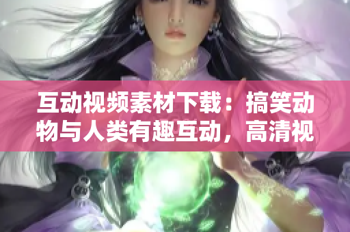 互动视频素材下载：搞笑动物与人类有趣互动，高清视频一网打尽