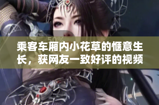 乘客车厢内小花草的惬意生长，获网友一致好评的视频