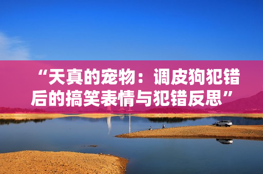 “天真的宠物：调皮狗犯错后的搞笑表情与犯错反思”