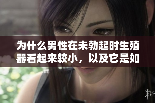为什么男性在未勃起时生殖器看起来较小，以及它是如何变化的？