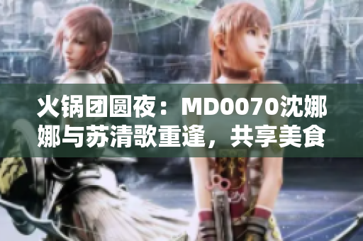 火锅团圆夜：MD0070沈娜娜与苏清歌重逢，共享美食与温情