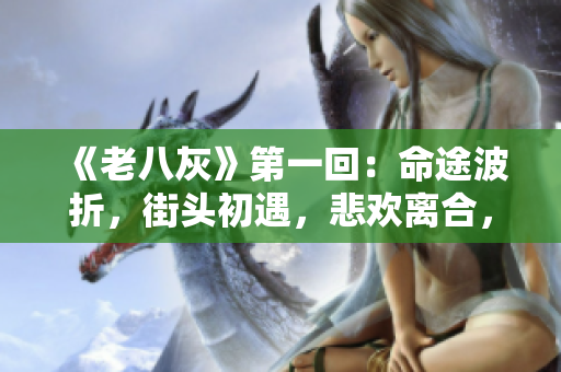 《老八灰》第一回：命途波折，街头初遇，悲欢离合，人生起伏
