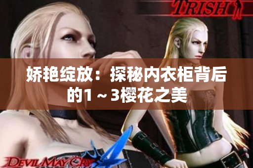 娇艳绽放：探秘内衣柜背后的1～3樱花之美