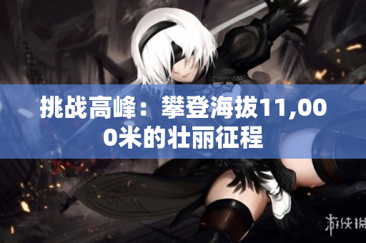 挑战高峰：攀登海拔11,000米的壮丽征程