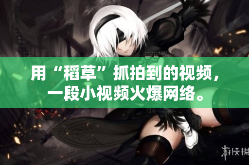 用“稻草”抓拍到的视频，一段小视频火爆网络。