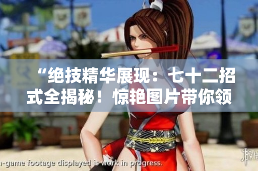 “绝技精华展现：七十二招式全揭秘！惊艳图片带你领略武术之美”