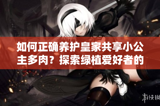 如何正确养护皇家共享小公主多肉？探索绿植爱好者的必备技巧