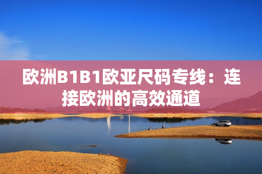 欧洲B1B1欧亚尺码专线：连接欧洲的高效通道