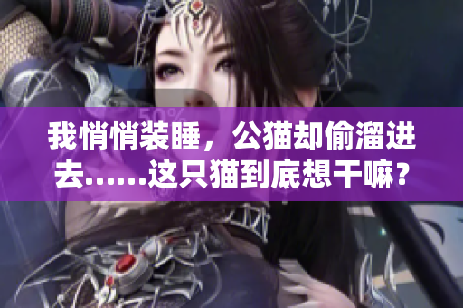 我悄悄装睡，公猫却偷溜进去……这只猫到底想干嘛？