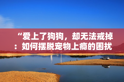 “爱上了狗狗，却无法戒掉：如何摆脱宠物上瘾的困扰？”