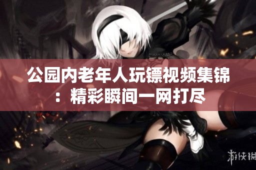 公园内老年人玩镖视频集锦：精彩瞬间一网打尽