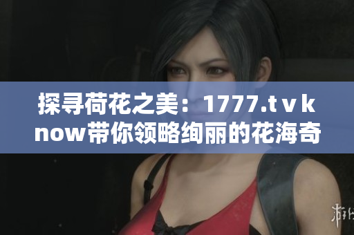 探寻荷花之美：1777.tⅴknow带你领略绚丽的花海奇观