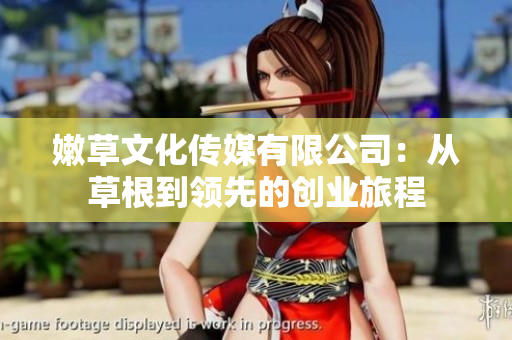 嫩草文化传媒有限公司：从草根到领先的创业旅程
