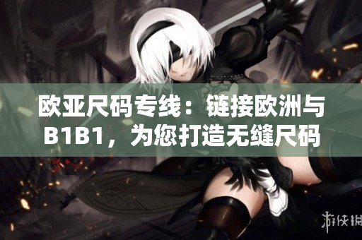 欧亚尺码专线：链接欧洲与B1B1，为您打造无缝尺码体验