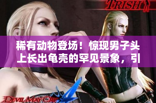 稀有动物登场！惊现男子头上长出龟壳的罕见景象，引发全球热议