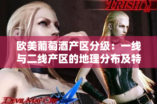 欧美葡萄酒产区分级：一线与二线产区的地理分布及特点探析