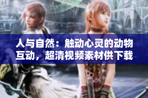 人与自然：触动心灵的动物互动，超清视频素材供下载