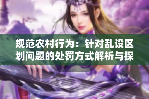 规范农村行为：针对乱设区划问题的处罚方式解析与探讨