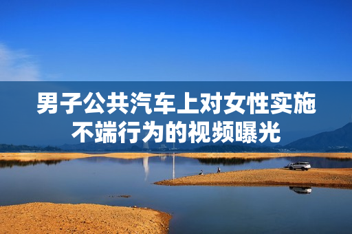 男子公共汽车上对女性实施不端行为的视频曝光